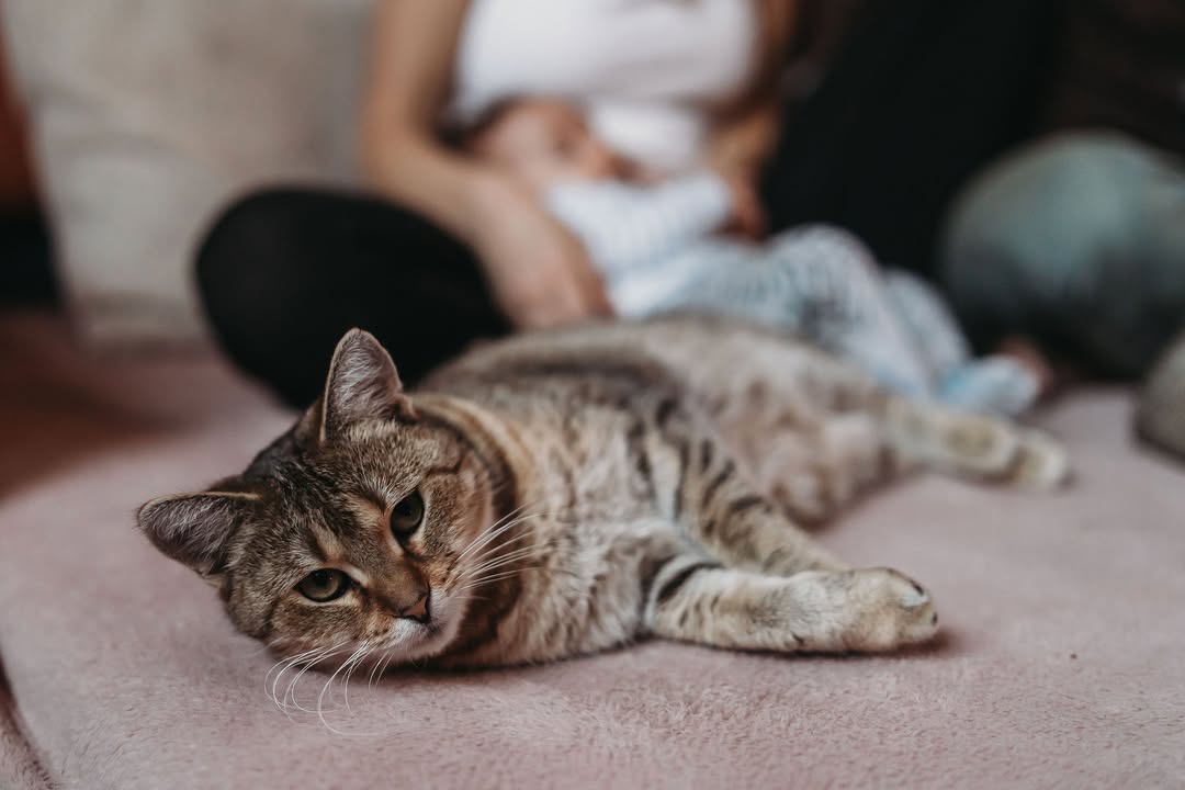 Qigong pro ženy, medicína, fyzioterapie - Petu Arci
